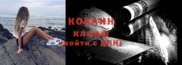стаф Корсаков