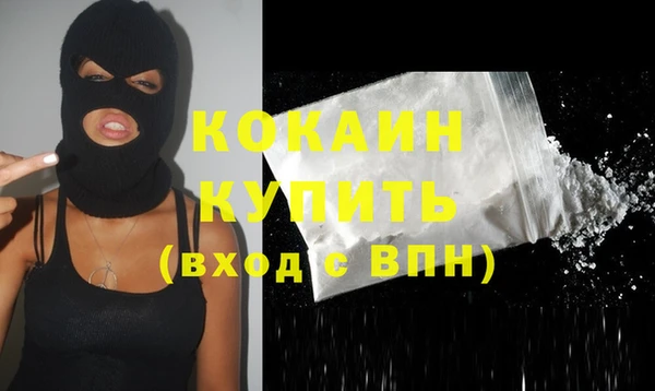 стаф Корсаков