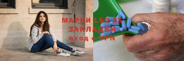 стаф Корсаков