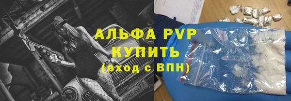 стаф Корсаков