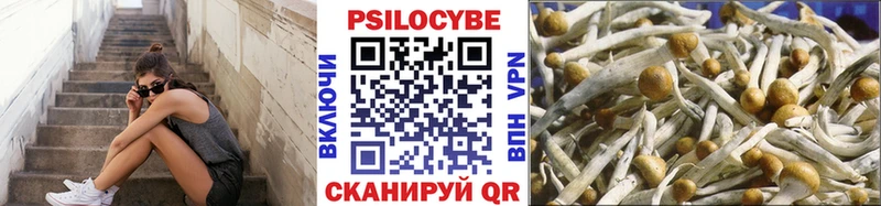 Галлюциногенные грибы Psilocybine cubensis Спасск