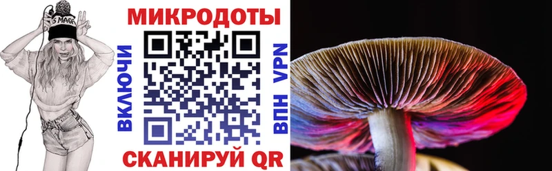 Псилоцибиновые грибы Magic Shrooms  где найти наркотики  Спасск 