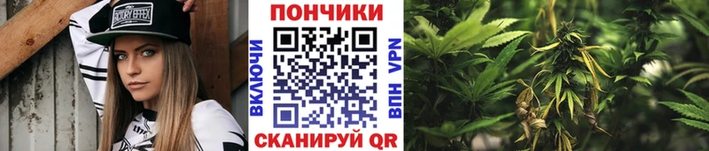 Бошки Шишки семена Спасск